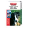 1133 10645web - Beaphar - Dental Sticks Medium and Large Dogs