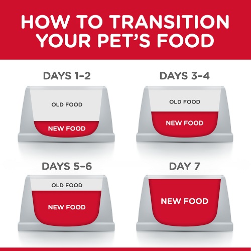 DOG Food Transition 5 2 - Hill’s Science Plan Medium Mature Adult 7+ Dog Food With Chicken