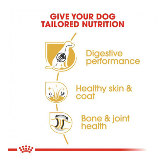 GS03 - Royal Canin - Breed Health Nutrition German Shepherd Adult