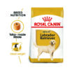 Labrador 07 - Royal Canin - Breed Health Nutrition Labrador Adult