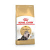 PERSIAN ADULT 08 - Royal Canin - Feline Breed Nutrition Persian