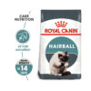hair ball 6 - Royal Canin - Feline Care Nutrition Hairball Care