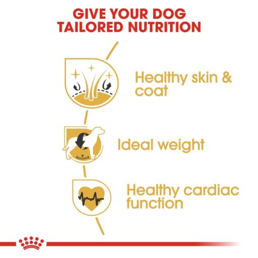 rc bhn cocker cv eretailkit 3 - Royal Canin - Breed Health Nutrition Cocker Adult