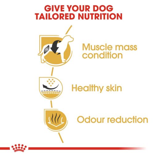 rc bhn frenchbulldog cv eretailkit 3 - Royal Canin - Breed Health Nutrition German Shepherd Adult