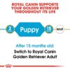 rc bhn puppygoldenretriever cv eretailkit 1 - Royal Canin - Breed Health Nutrition Golden Retriever Puppy