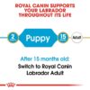 rc bhn puppylabradorretriever cv eretailkit 1 - Royal Canin - Breed Health Nutrition Labrador Adult