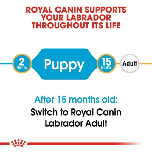 rc bhn puppylabradorretriever cv eretailkit 1 - Royal Canin - Breed Health Nutrition Labrador Adult
