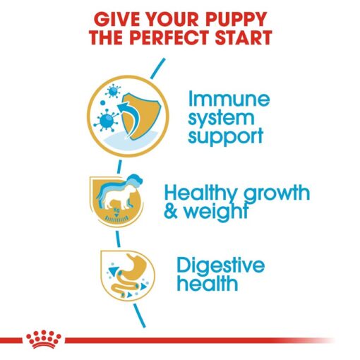 rc bhn puppylabradorretriever cv eretailkit 3 - Royal Canin - Breed Health Nutrition Labrador Adult
