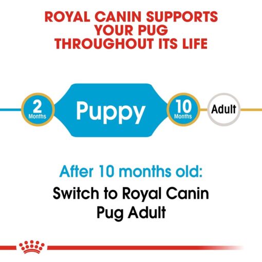 rc bhn puppypug cv eretailkit 1 - Royal Canin - Pug Puppy