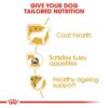 rc bhn yorkshire cv eretailkit 3 - Royal Canin - Breed Health Nutrition Yorkshire Adult