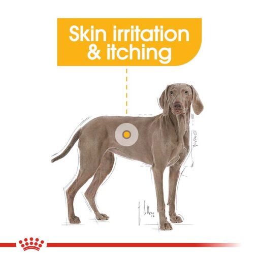 rc ccn dermamax cv eretailkit 2 1 - Royal Canin - Canine Care Nutrition Maxi Dermacomfort