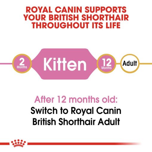 rc fbn kittenbritishshorthair cv eretailkit 1 - Royal Canin - Feline Breed Nutrition British Shorthair Kitten