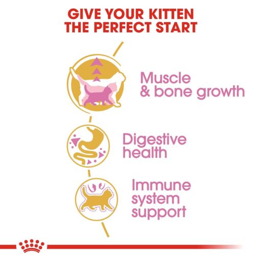 rc fbn kittenbritishshorthair cv eretailkit 3 - Royal Canin - Feline Breed Nutrition British Shorthair Kitten