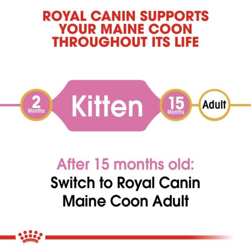 rc fbn kittenmainecoon cv eretailkit 1 - Royal Canin - Feline Breed Nutrition Maine Coon Kitten