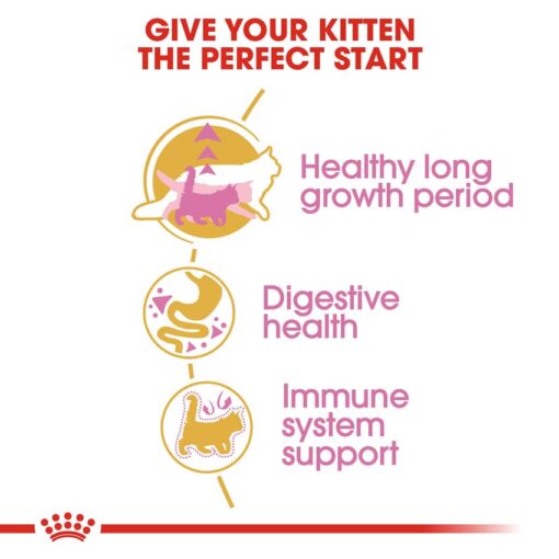 rc fbn kittenmainecoon cv eretailkit 3 - Royal Canin - Feline Breed Nutrition Maine Coon Kitten