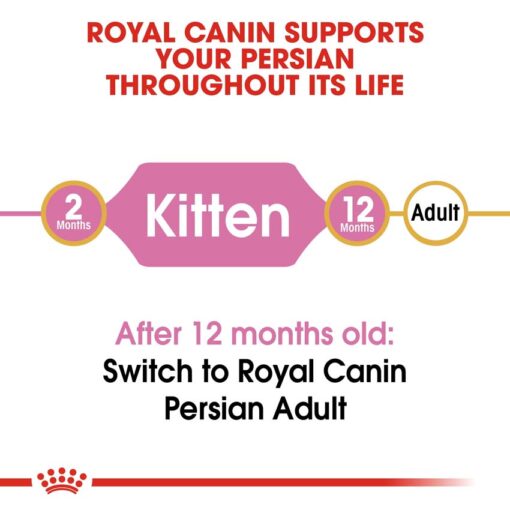 rc fbn kittenpersian cv eretailkit 1 - Royal Canin - Feline Breed Nutrition Kitten Persian