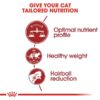 rc fhn fit32 cv eretailkit 2 1 - Royal Canin - Feline Health Nutrition Fit 32