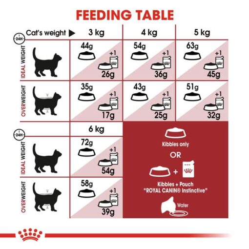 rc fhn fit32 cv eretailkit 4 1 - Royal Canin - Feline Health Nutrition Fit 32