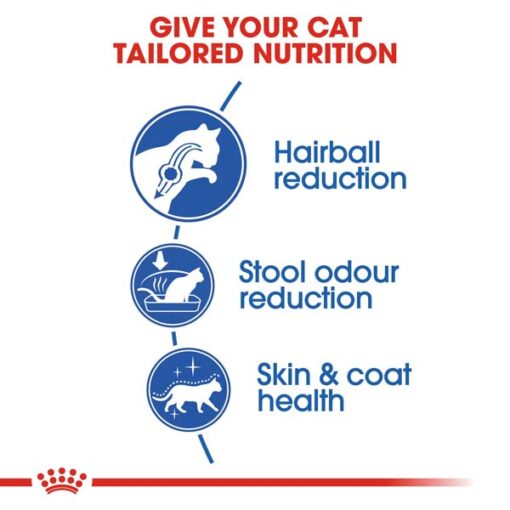 rc fhn indoorlonghair cv eretailkit 2 - Royal Canin - Feline Health Nutrition Kitten