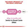 rc fhn m b cv eretailkit 1 1 - Royal Canin - Feline Health Nutrition Mother And Babycat