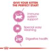 rc fhn m b cv eretailkit 2 1 - Royal Canin - Feline Health Nutrition Mother And Babycat