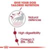 rc shn adultmedium cv eretailkit 2 1 - Royal Canin - Size Health Nutrition Medium Adult