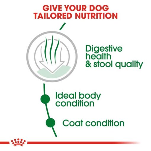 rc shn miniindooradult cv eretailkit 2 - Royal Canin Health Nutrition Mini Indoor Adult