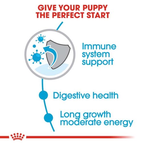 rc shn puppymaxi cv eretailkit 2 2 - Royal Canin - Size Health Nutrition Maxi Puppy