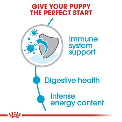 rc shn puppymini cv eretailkit 2 2 - Royal Canin - Size Health Nutrition Maxi Adult