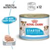 rc shn wet startermousse mv eretailkit - Royal Canin - Canine Health Nutrition Starter Mousse