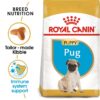 ro190350 - Royal Canin - Pug Puppy