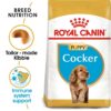 ro190480 - Royal Canin - Breed Health Nutrition German Shepherd Adult