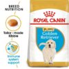ro197070 - Royal Canin - Breed Health Nutrition Golden Retriever Puppy