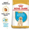 ro202180 - Royal Canin - Breed Health Nutrition Labrador Puppy