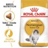 ro235070 - Royal Canin Feline Breed Nutrition Norwegian Forest Cat