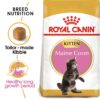 ro236110 - Royal Canin - Feline Breed Nutrition Maine Coon Kitten