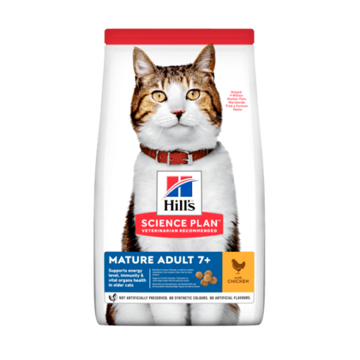 sp feline science plan mature adult 7 plus active longevity chicken dry 2 - Hill's Science Plan - Mature Adult 7+ Cat Food With Chicken