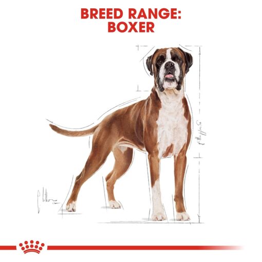 rc bhn boxer cv eretailkit 2 - Royal Canin - Canine Care Nutrition Medium Dermacomfort