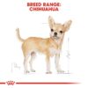 rc bhn wet chihuahua cv eretailkit 1 - Royal Canin - Adult Chihuahua Wet Food