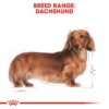 rc bhn wet dachshund cv eretailkit 1 - Royal Canin - Size Health Nutrition Mini Adult 8+
