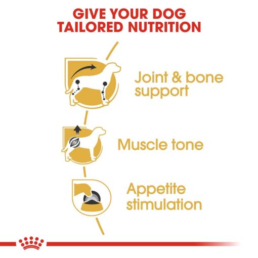 rc bhn wet dachshund cv eretailkit 3 - Royal Canin - Size Health Nutrition Mini Adult 8+