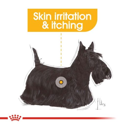rc ccn dermamini cv eretailkit 2 1 1 - Royal Canin Size Health Nutrition Xs Puppy