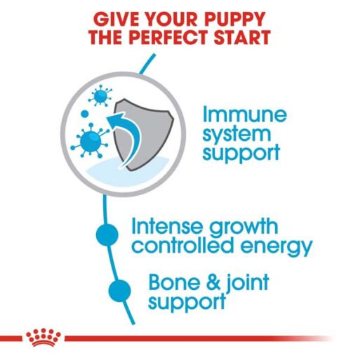 rc shn puppygiant cv eretailkit 2 - Royal Canin - Canine Care Nutrition Medium Dermacomfort