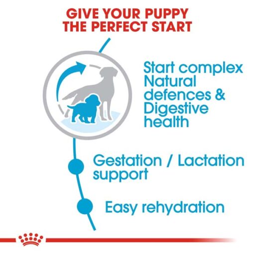 rc shn puppymediumstarter cv eretailkit 2 - Royal Canin - Size Health Nutrition Medium Starter