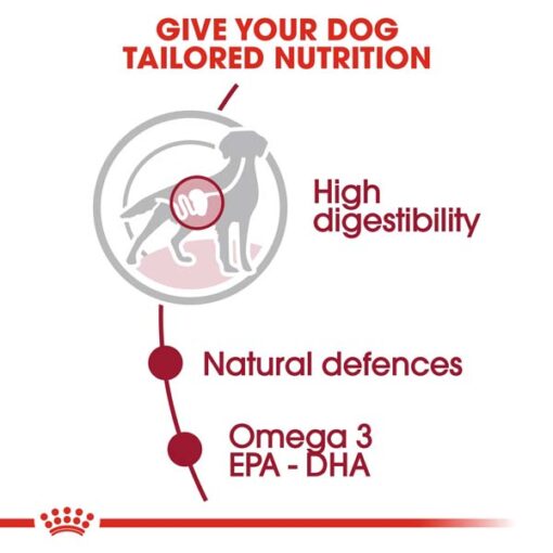 rc shn wet mediumadult cv eretailkit 2 - Royal Canin - Size Health Nutrition Medium Adult