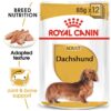 ro224360 - Royal Canin - Adult Dachshund Wet Food
