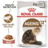 ro237270 - Royal Canin - Feline Health Nutrition Ageing +12 Gravy