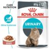 ro237430 - Beaphar - Salmon Oil for Dogs & Cats