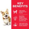 DOG Adult SM Lamb Transition Benefits 604344 - Fish4Dogs - Salmon Adult Small Kibble 1.5Kg