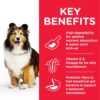 DOG Adult Medium Stomach Skin Chicken Transition Benefits 604300 - Hill's Science Plan - Adult Sensitive Stomach & Skin Canine w/Chicken